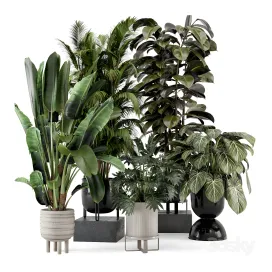 Indoor plants in ferm living bau pot large